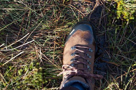 meindl kansas boots