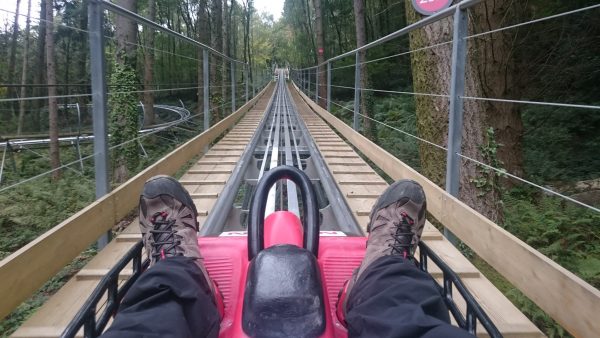 nissan x-trail fforest coaster