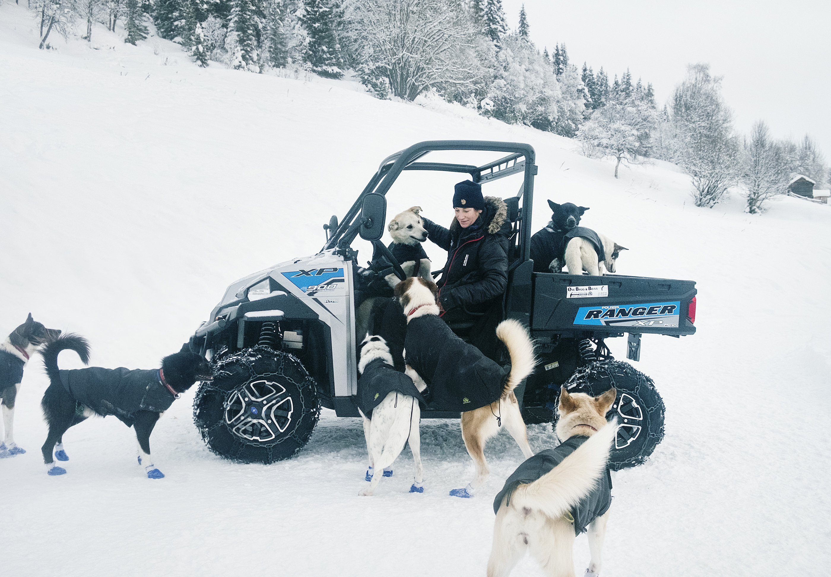 Training Husky dogs with a Polaris RANGER