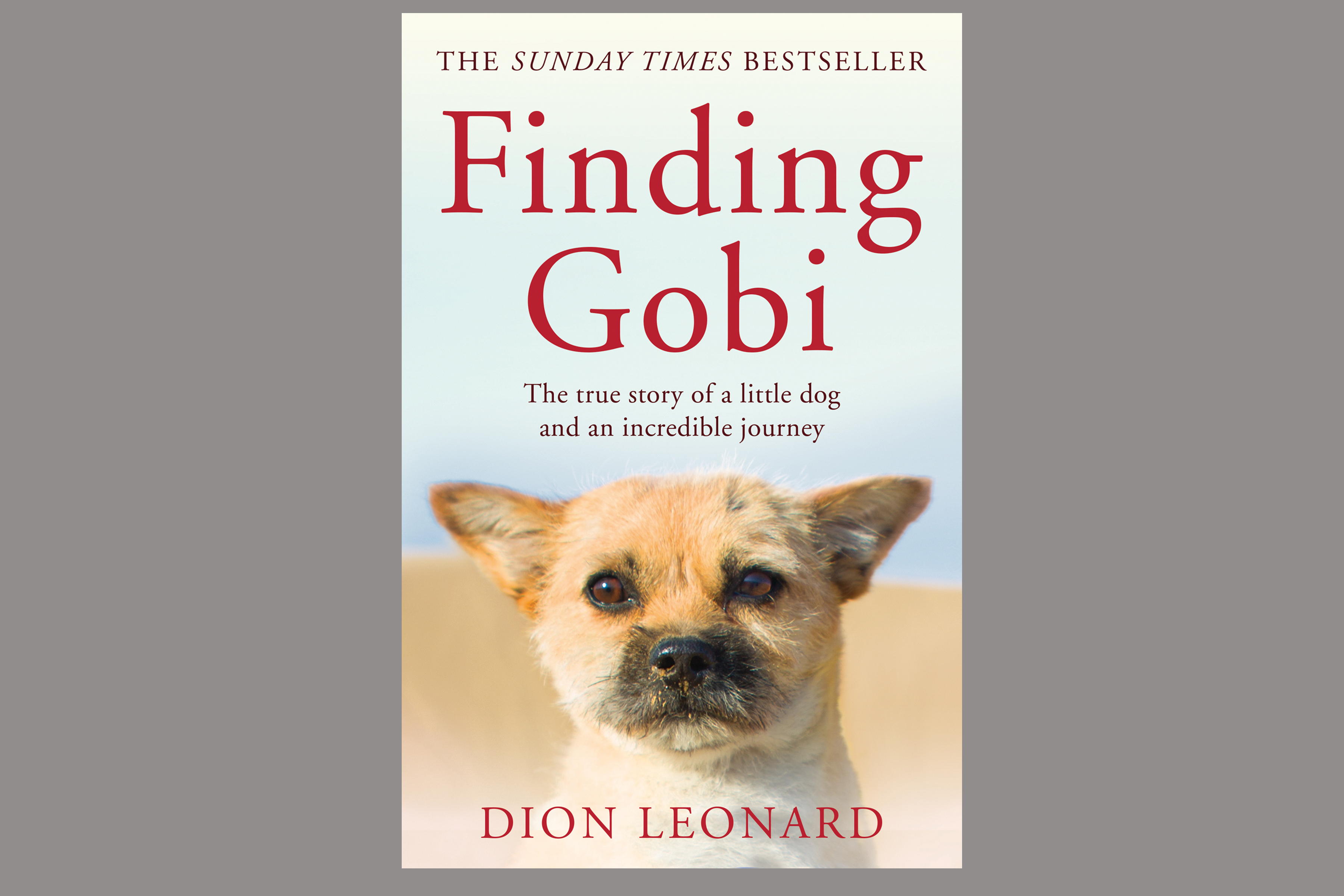 Fireside Reading: Finding Gobi by Dion Leonard