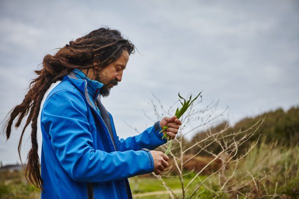 foraging visit jersey