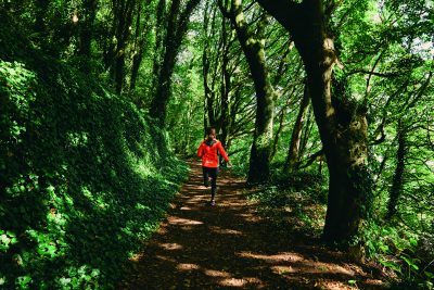 let the outdoors in visit wales