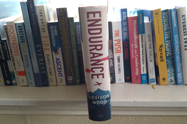 endurance book levison wood